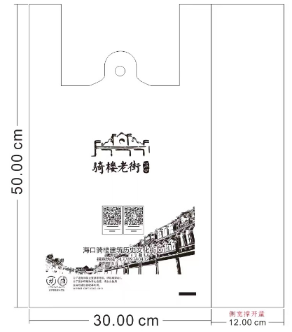 海南印刷廠有哪些常見手提袋的種類(圖3)